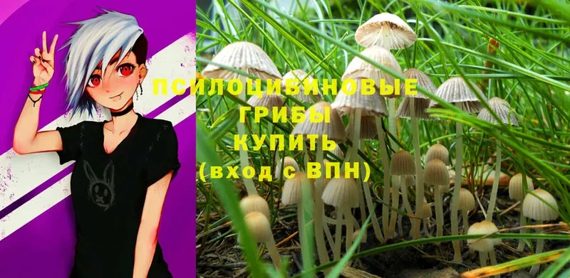 Псилоцибиновые грибы MAGIC MUSHROOMS  гидра ссылки  Вязьма 